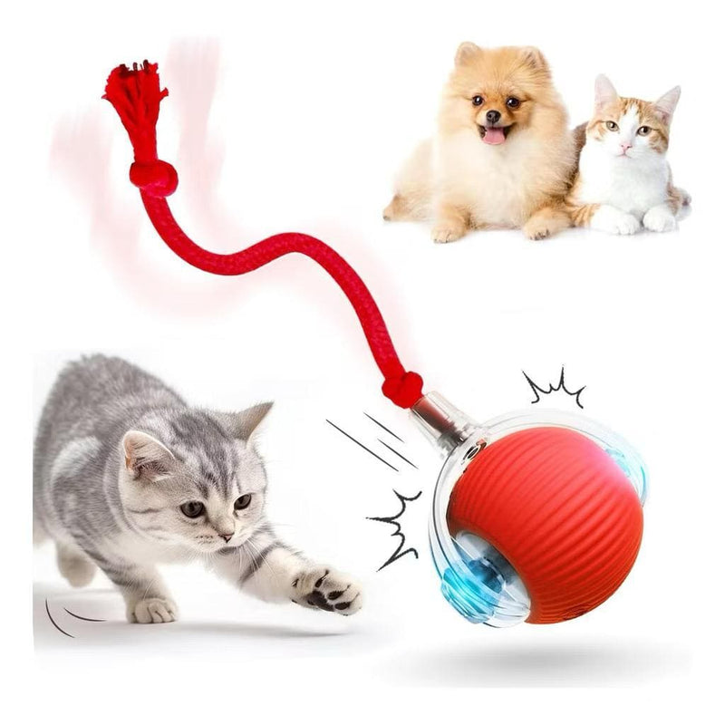 Brinquedo Bola De Caça Elétrica Para Pets Compre 1 Leve 2